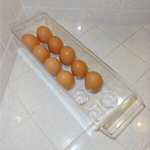 Vintage Clear Lucite Egg Tray for Refrigerator egg holder retro storage mcm